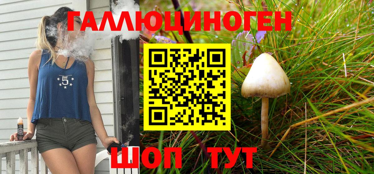 Псилоцибиновые грибы прущие грибы Дмитров